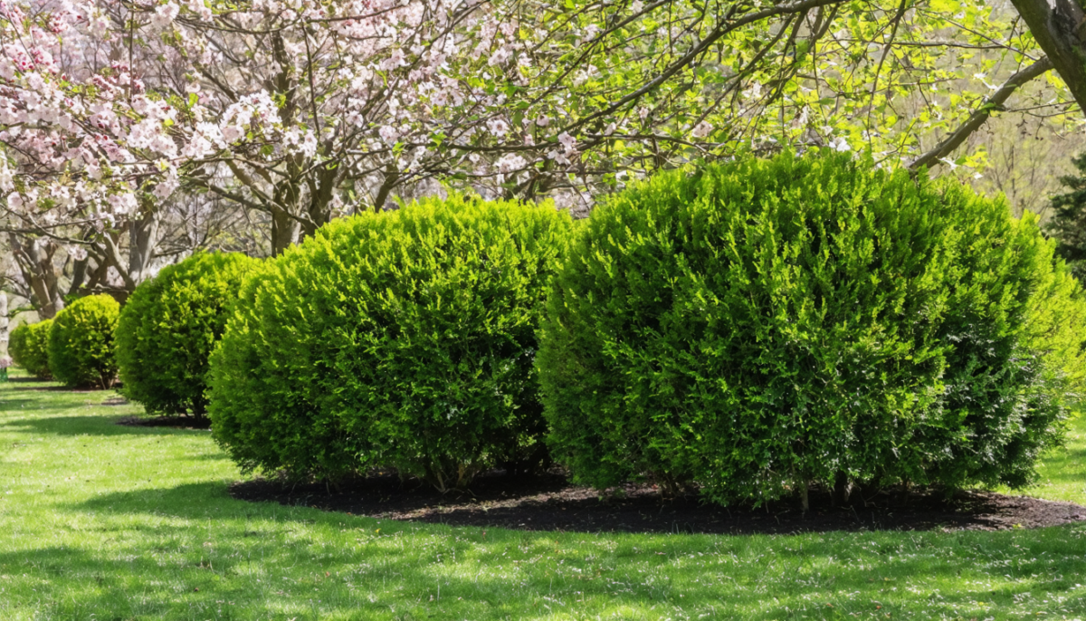 découvrez les 11 erreurs courantes à éviter absolument au jardin pour réussir votre printemps et profiter d'un espace extérieur florissant et en pleine santé.